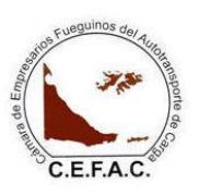 cefac.jpg