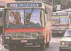 paraguaybuses.jpg