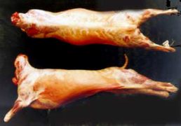 carne-ovina.jpg