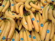 bananas.jpg
