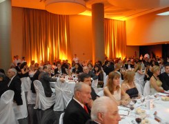 catampaniversario1.jpg