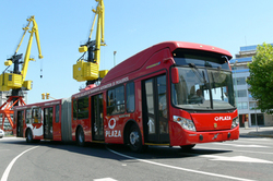 busaritculado.jpg