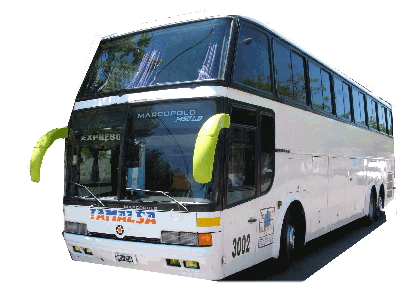 omnibus.jpg