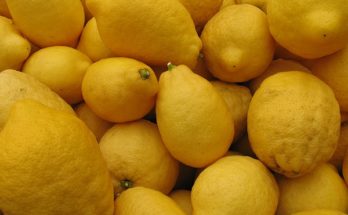 limones.jpg